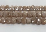 CNG8616 10*13mm - 12*16mm faceted freeform moonstone beads