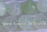 COP1624 15.5 inches 10mm round green opal gemstone beads