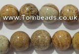 CPT456 15.5 inches 16mm round picture jasper beads wholesale