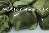 CRH28 15.5 inches 22*30mm rectangle rhyolite beads wholesale