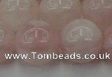 CRQ675 15.5 inches 16mm round rose quartz beads wholesale