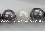 CSB1150 15.5 inches 16mm round mixed color shell pearl beads