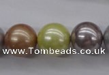 CSB1155 15.5 inches 16mm round mixed color shell pearl beads
