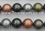 CSB382 15.5 inches 14mm round mixed color shell pearl beads