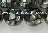 CSB4034 15.5 inches 14mm ball abalone shell beads wholesale