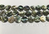CSB4172 15.5 inches 16*16mm coin abalone shell beads wholesale