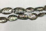 CSB4179 15.5 inches 13*30mm - 15*35mm freeform abalone shell beads