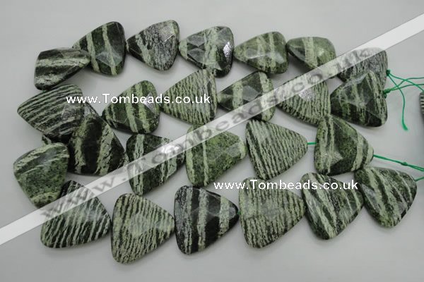 CSJ130 15.5 inches 30*30mm faceted triangle green silver line jasper beads