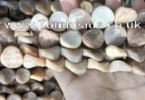 CSS438 15.5 inches 18mm twisted coin sunstone beads wholesale