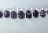 CTD2144 Top drilled 15*25mm - 18*25mm freeform dogtooth amethyst beads