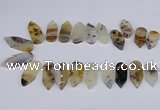 CTD2734 Top drilled 15*28mm - 18*45mm freeform montana agate beads