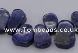 CTD377 Top drilled 10*14mm - 15*20mm freeform lapis lzuli beads
