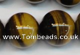 CTE1254 15.5 inches 14mm round AAA grade yellow tiger eye beads