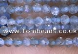 CTG1416 15.5 inches 2mm faceted round apatite beads wholesale