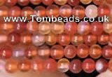 CTG2056 15 inches 2mm,3mm red agate gemstone beads