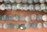 CTG2154 15 inches 2mm,3mm faceted round amazonite gemstone beads