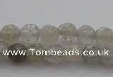 CTG217 15.5 inches 3mm faceted round tiny labradorite beads