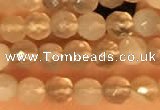 CTG2209 15 inches 2mm,3mm faceted round botswana agate beads