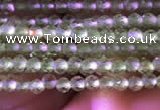CTG743 15.5 inches 2mm faceted round tiny prehnite beads