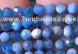 CTG760 15.5 inches 3mm faceted round tiny apatite gemstone beads