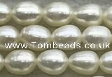 FWP163 14.5 inches 4.2mm - 4.8mm rice white freshwater pearl strands