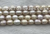 FWP206 15 inches 10mm - 11mm rice white freshwater pearl strands