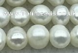 FWP42 14.5 inches 5.5mm - 6mm potato white freshwater pearl strands