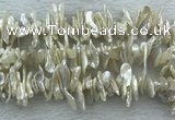 FWP420 15 inches 5*15mm - 8*24mm biwa freshwater pearl beads