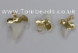 NGP2320 18*25mm - 25*30mm teeth-shaped shell pendants