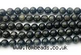 CAE323 15.5 inches 10mm round astrophyllite gemstone beads