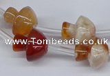 CAA1193 15.5 inches 15*16mm mushroom sakura agate gemstone beads