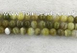 CAA1956 15.5 inches 16mm round banded agate gemstone beads