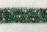 CAA1991 15.5 inches 6mm round banded agate gemstone beads