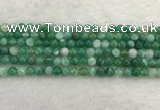 CAA2001 15.5 inches 6mm round banded agate gemstone beads