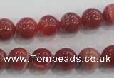 CAA205 15.5 inches 10mm round madagascar agate beads wholesale