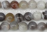 CAA225 15.5 inches 10mm round botswana agate gemstone beads