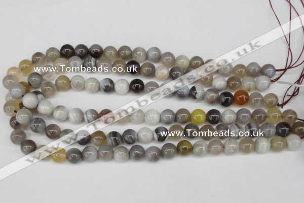 CAA225 15.5 inches 10mm round botswana agate gemstone beads