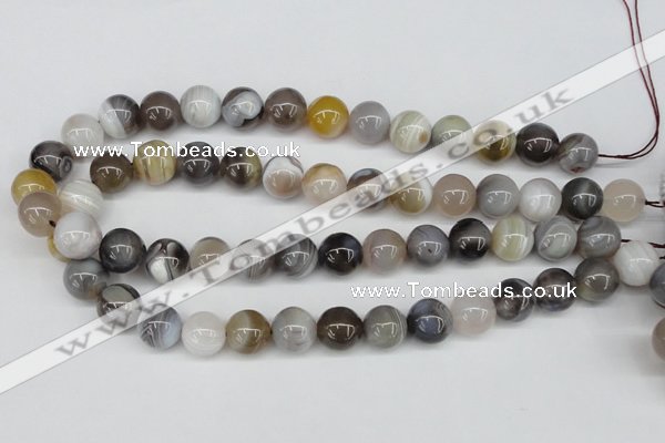 CAA227 15.5 inches 14mm round botswana agate gemstone beads