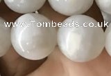 CAA2344 15.5 inches 12mm round white crazy lace agate beads wholesale