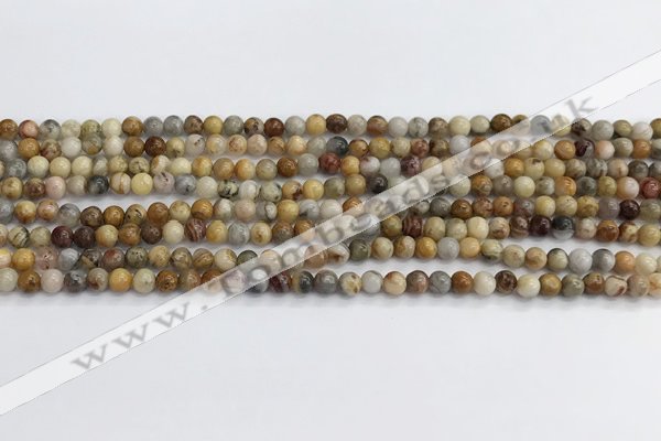 CAA2348 15.5 inches 4mm round crazy lace agate beads wholesale