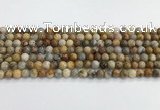 CAA2349 15.5 inches 6mm round crazy lace agate beads wholesale