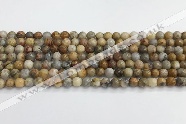 CAA2349 15.5 inches 6mm round crazy lace agate beads wholesale