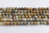 CAA2350 15.5 inches 8mm round crazy lace agate beads wholesale