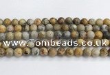 CAA2351 15.5 inches 10mm round crazy lace agate beads wholesale