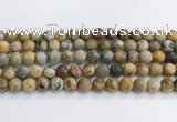 CAA2352 15.5 inches 12mm round crazy lace agate beads wholesale