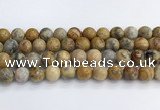 CAA2353 15.5 inches 14mm round crazy lace agate beads wholesale