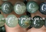 CAA2358 15.5 inches 8mm round moss agate beads wholesale