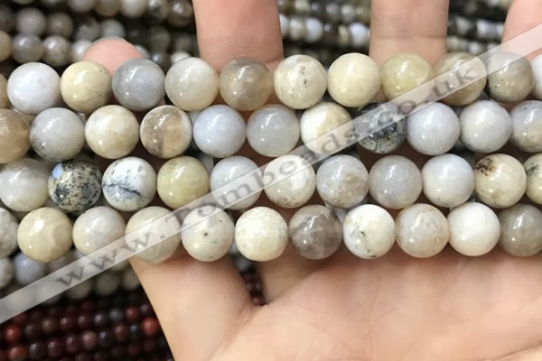 CAA3584 15.5 inches 10mm round ocean fossil agate beads wholesale