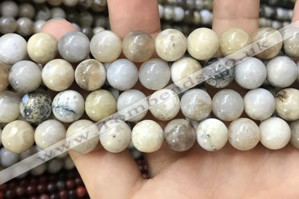 CAA3585 15.5 inches 12mm round ocean fossil agate beads wholesale