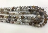 CAA3700 15.5 inches 6mm - 13mm round Botswana agate graduated beads